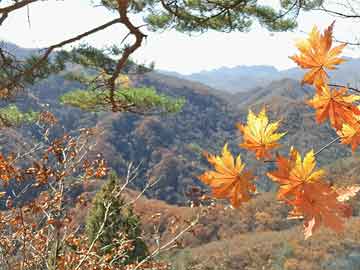 12月6日全国哀悼时间（12月6日全国哀悼时间表）